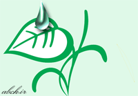 آب و خاك نور سه عنصر حياتي براي گياهان