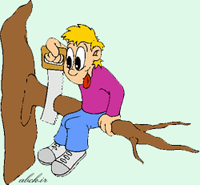 يكي بر سر شاخ بن ميبريد...